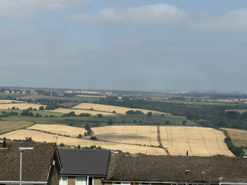 Images for Ottercops, Prudhoe